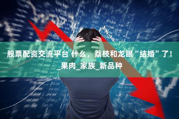 股票配资交流平台 什么，荔枝和龙眼“结婚”了！_果肉_家族_新品种