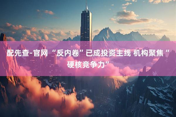 配先查-官网 “反内卷”已成投资主线 机构聚焦“硬核竞争力”